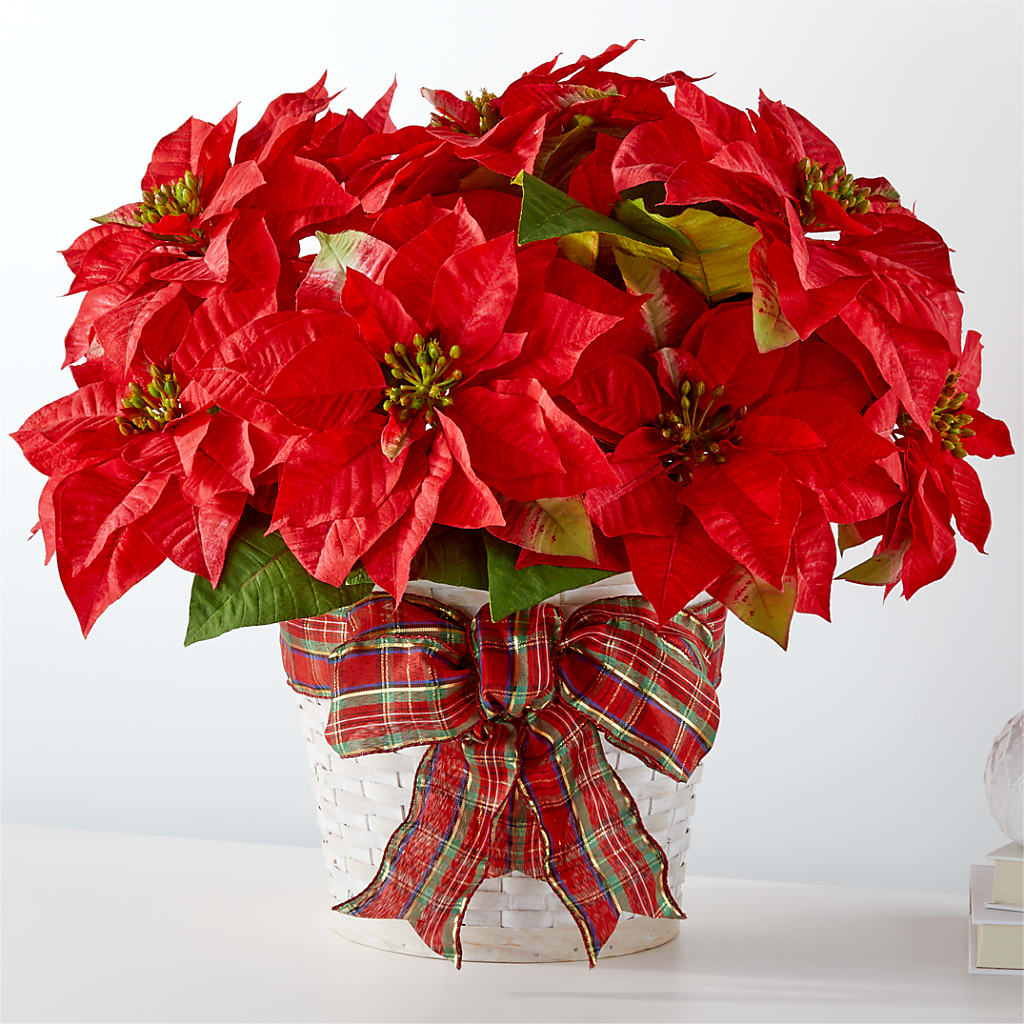 Happiest Holidays Poinsettia – Homestead Flower Company Inc, Homestead FL