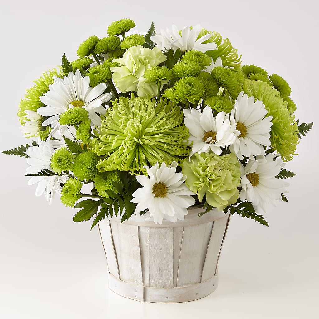 Lucky Charm Basket (Standard) – Homestead Flower Company Inc, Homestead FL