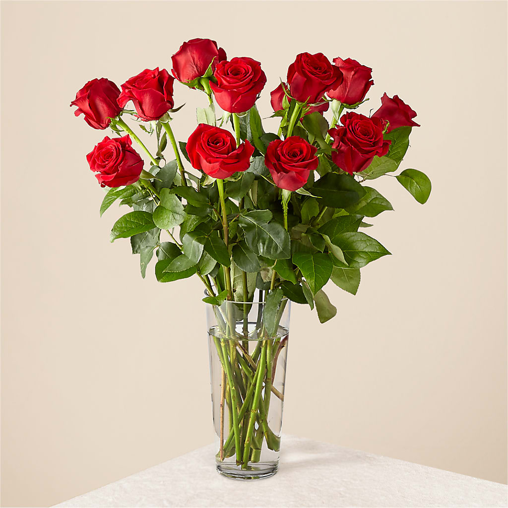 Long Stem Red Rose Bouquet – Homestead Flower Company Inc, Homestead FL