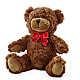 Adorable Plush Bear – Homestead Flower Company Inc, Homestead FL
