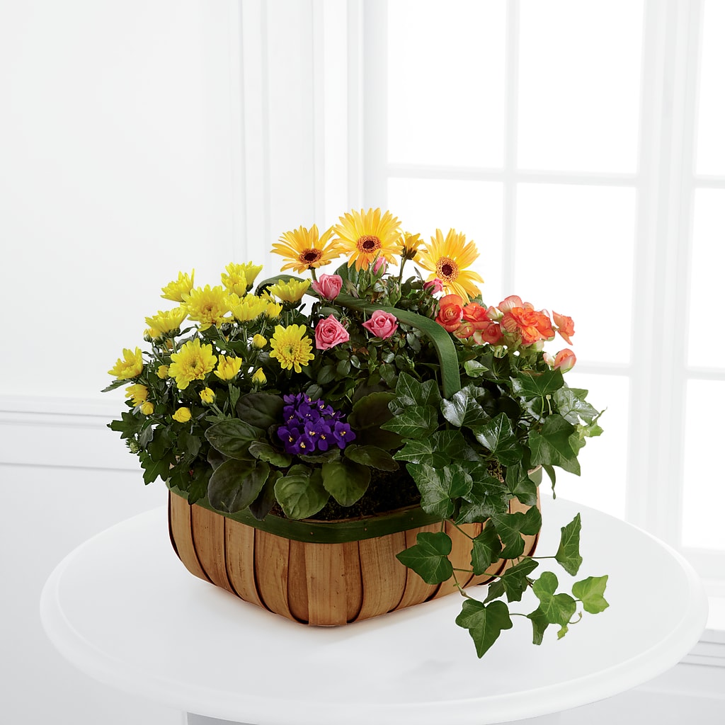 Gentle Blossoms Basket – Homestead Flower Company Inc, Homestead FL