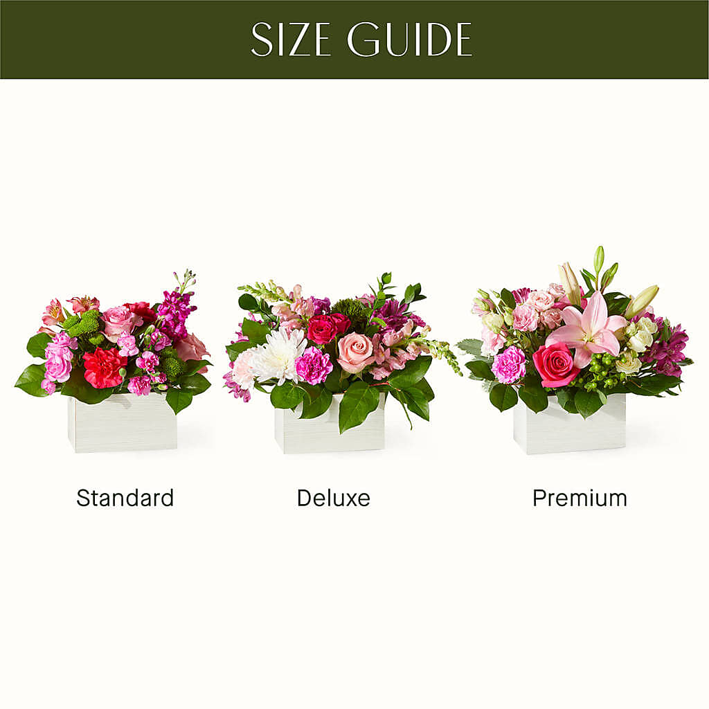 Sweetberry Box – A Florist Original – Homestead Flower Company Inc, Homestead FL