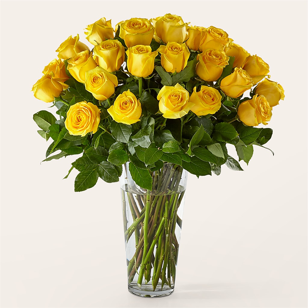 Long Stem Yellow Rose Bouquet – Homestead Flower Company Inc, Homestead FL