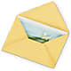 Greeting Card – Homestead Flower Company Inc, Homestead FL