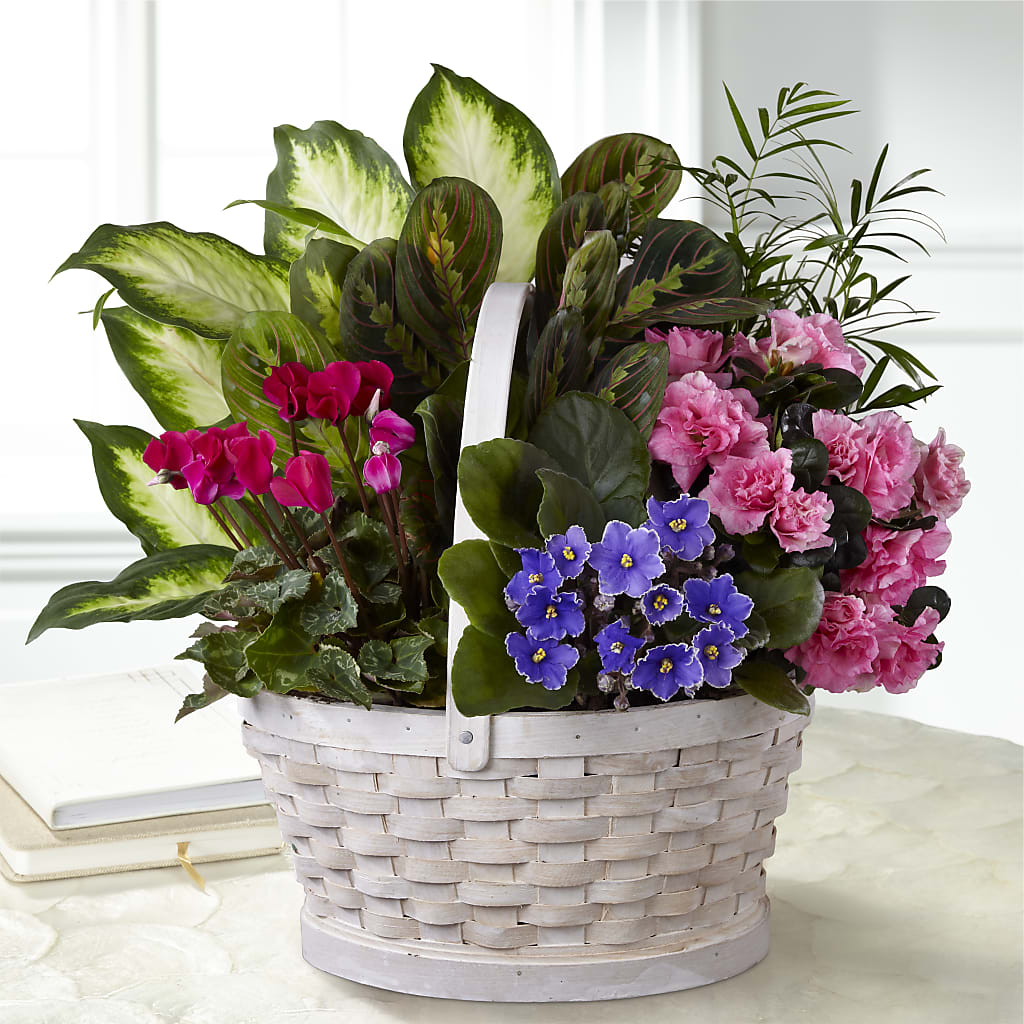 Peaceful Garden Planter – Homestead Flower Company Inc, Homestead FL