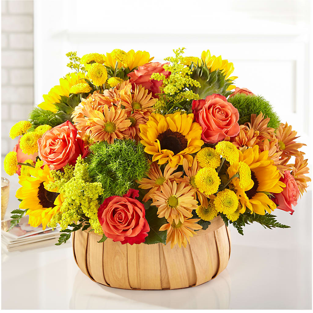 Harvest Sunflower Basket – Homestead Flower Company Inc, Homestead FL