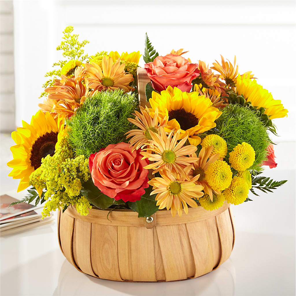 Harvest Sunflower Basket – Homestead Flower Company Inc, Homestead FL