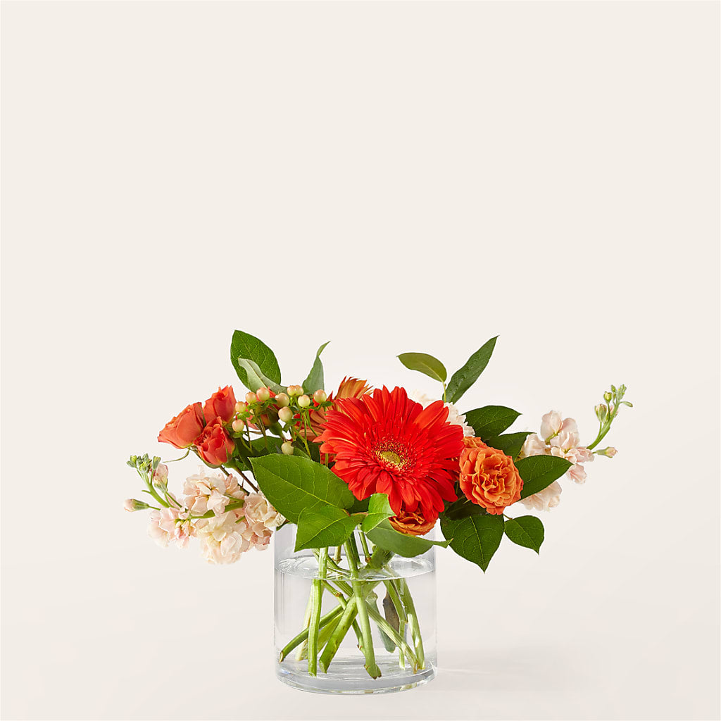 Paloma Please Bouquet – Homestead Flower Company Inc, Homestead FL