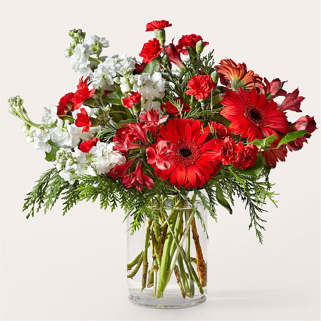 Holidaisy Bouquet – Homestead Flower Company Inc, Homestead FL