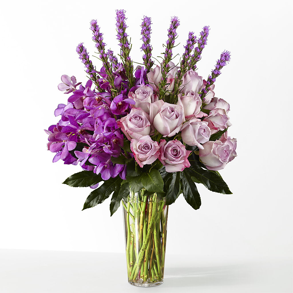 The Maximalist – Homestead Flower Company Inc, Homestead FL