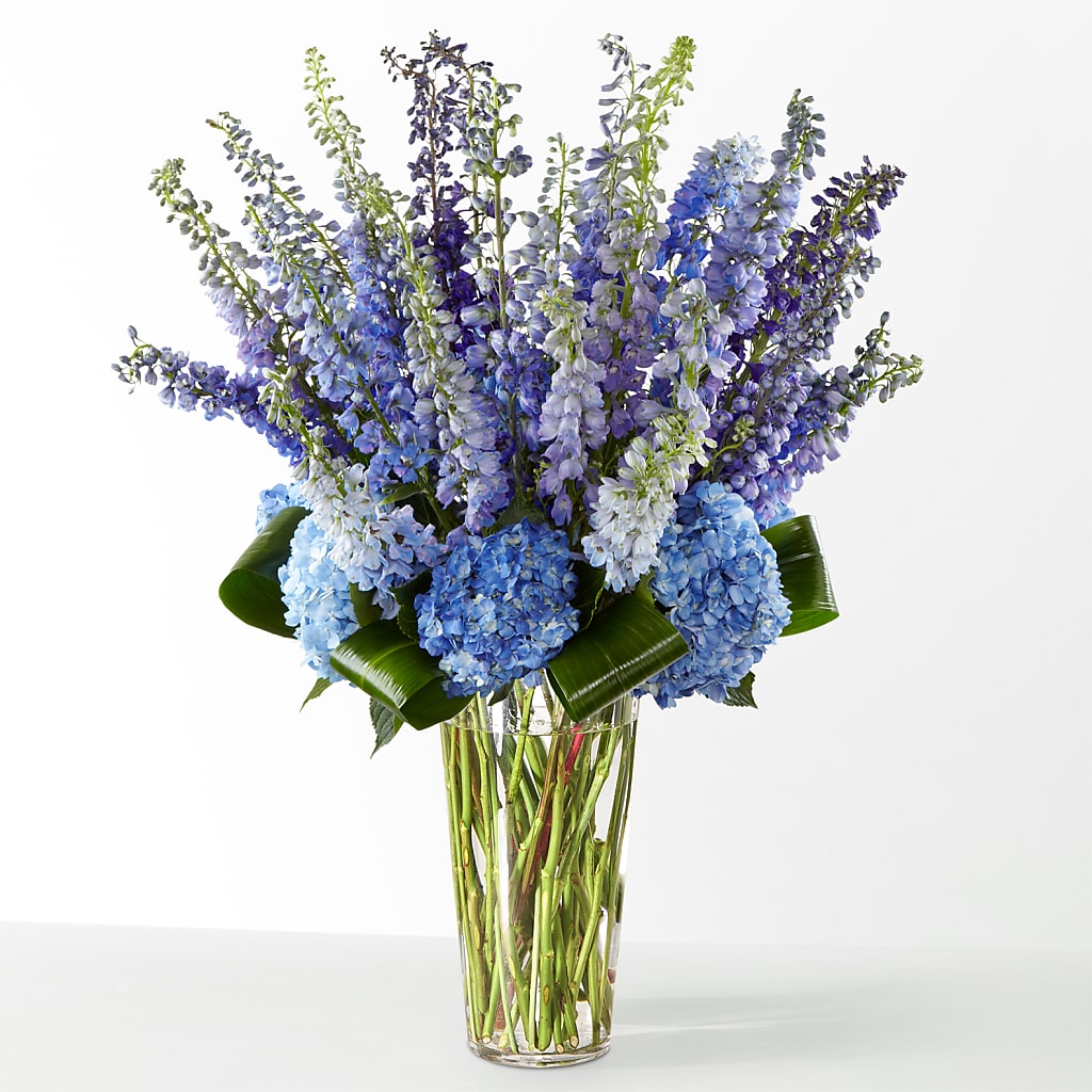 The Editorial – Homestead Flower Company Inc, Homestead FL