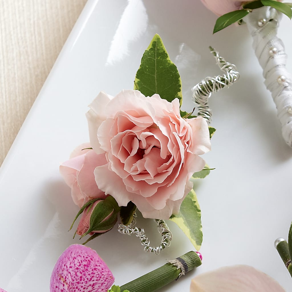 Pink Spray Rose Boutonniere – Homestead Flower Company Inc, Homestead FL