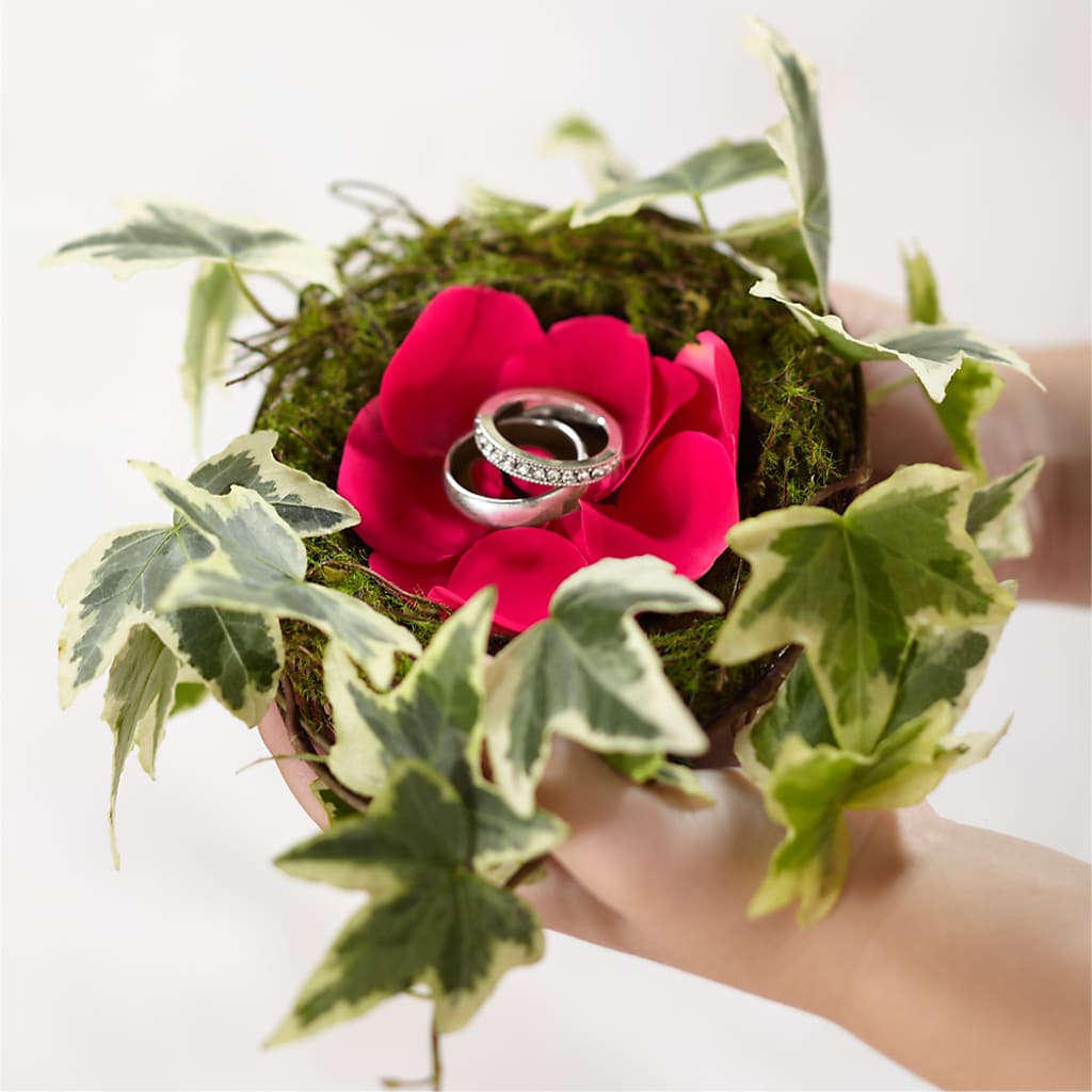 Lila Rose Ring Nest – Homestead Flower Company Inc, Homestead FL