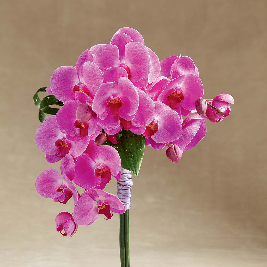 Glorious Bouquet – Homestead Flower Company Inc, Homestead FL