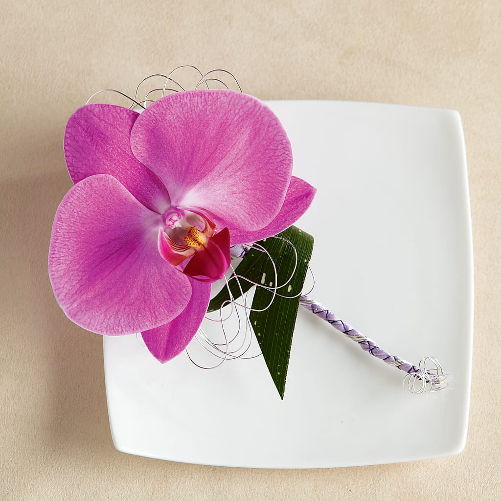 Glorious Boutonniere – Homestead Flower Company Inc, Homestead FL