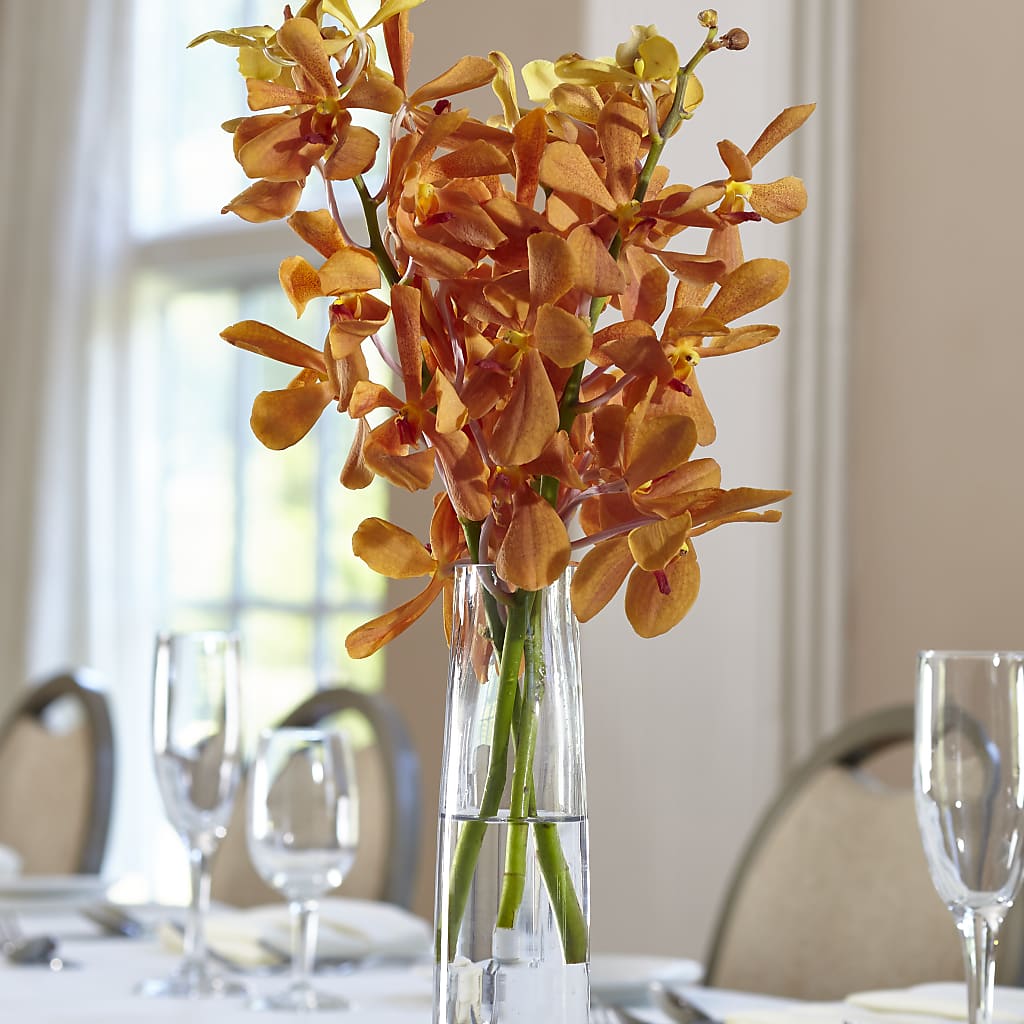 Orange Mokara Bud Vase – Homestead Flower Company Inc, Homestead FL
