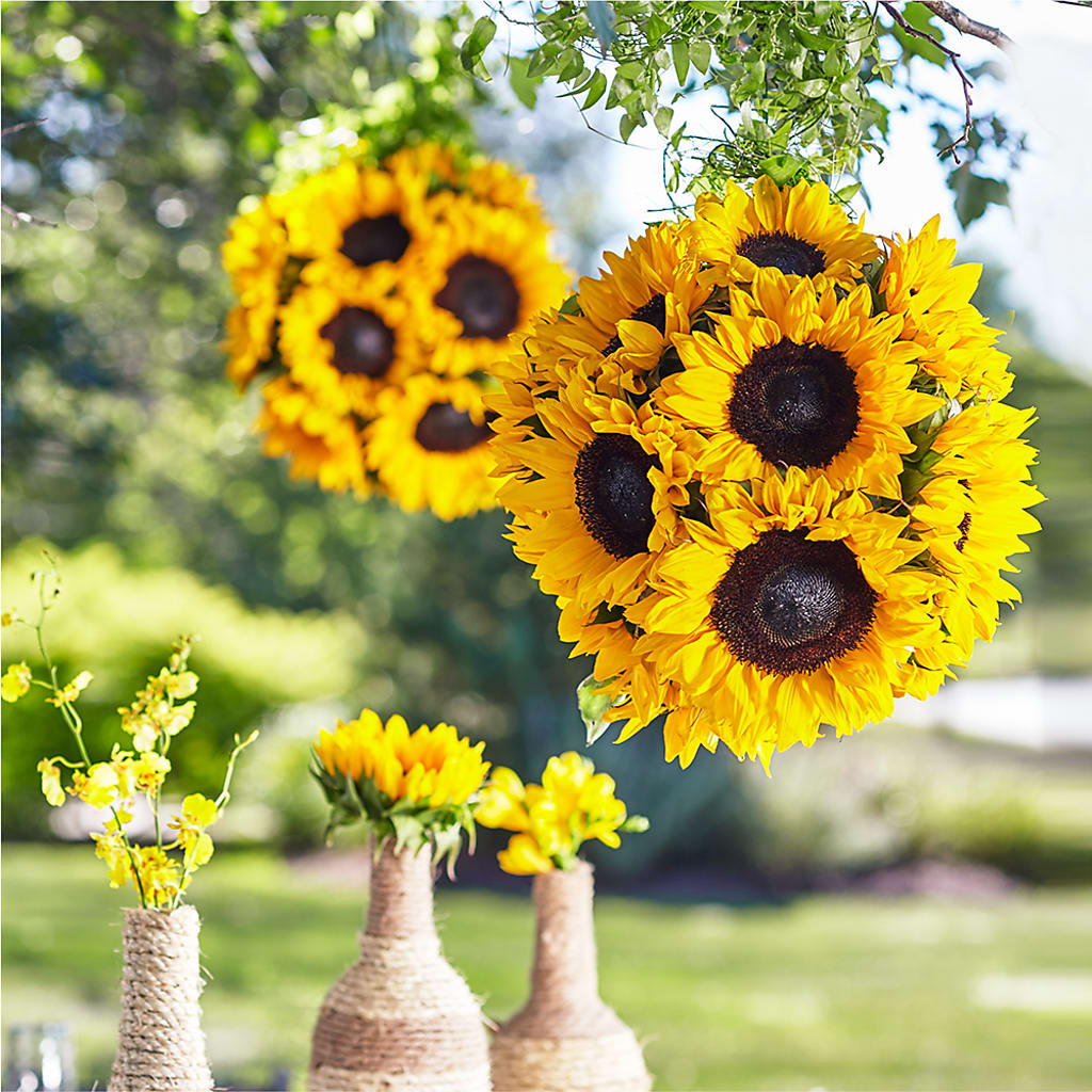 Sublime Garden Hanging Arrangement – Homestead Flower Company Inc, Homestead FL