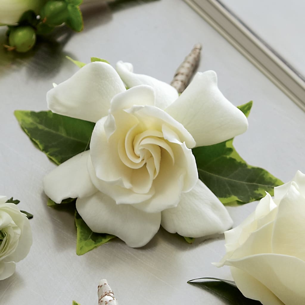 Gardenia Boutonniere – Homestead Flower Company Inc, Homestead FL