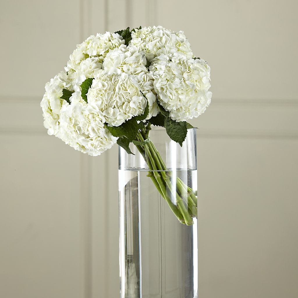 White Hydrangea Hand-Tied Bouquet – Homestead Flower Company Inc, Homestead FL