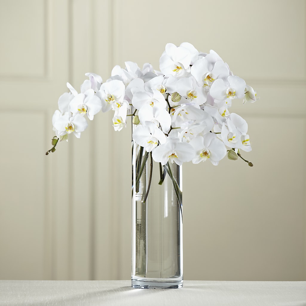 White Phalaenopsis Bouquet – Homestead Flower Company Inc, Homestead FL