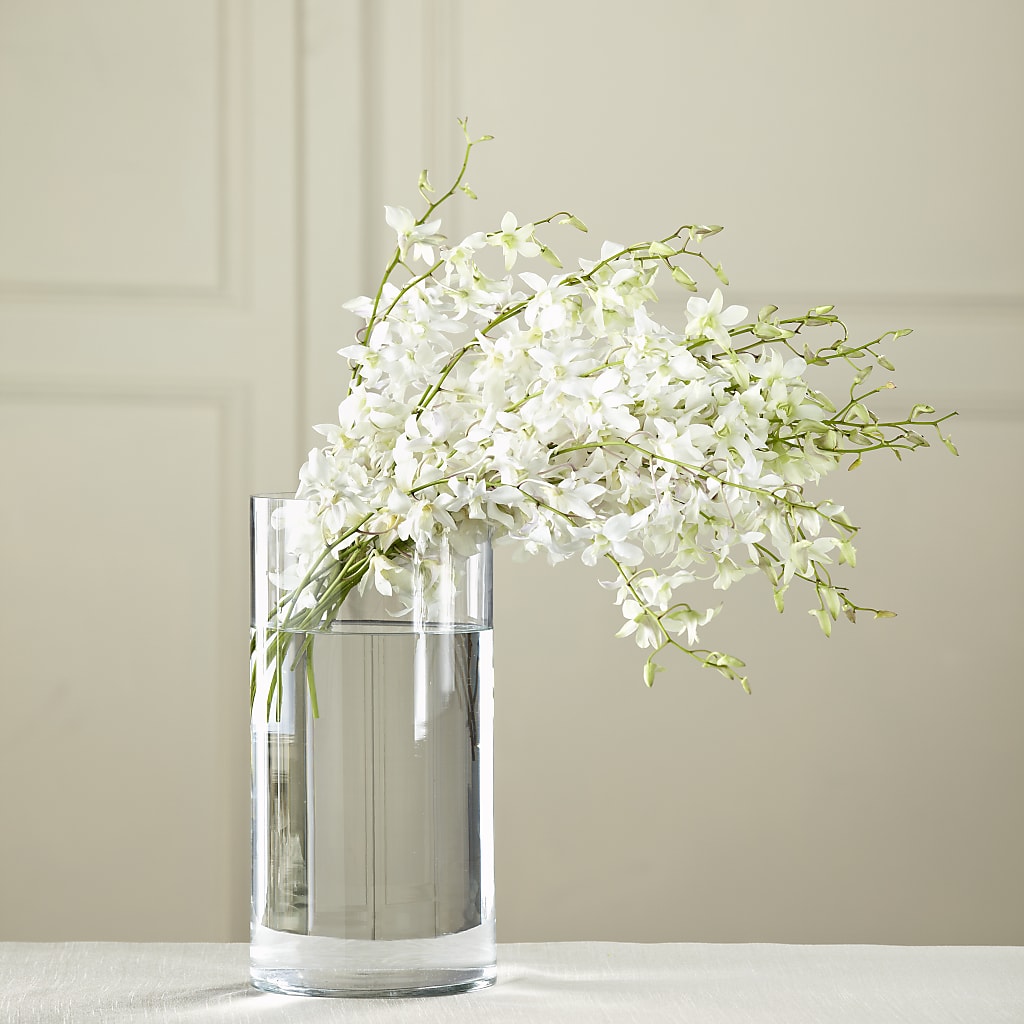 White Dendrobium Bouquet – Homestead Flower Company Inc, Homestead FL