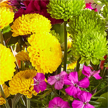 Bold & Bright – A Florist Original –  Homestead Flower Company Inc, Homestead FL