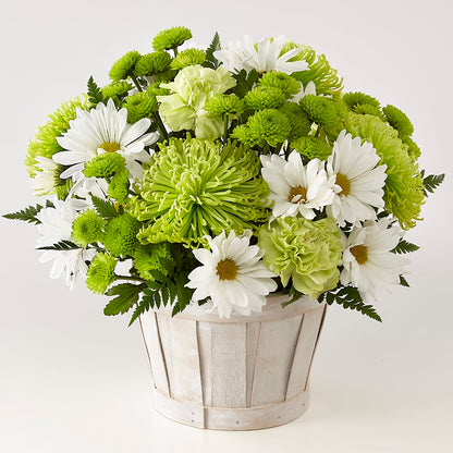 Lucky Charm Basket (Standard) –  Homestead Flower Company Inc, Homestead FL