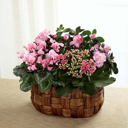 Pink Assortment –  Homestead Flower Company Inc, Homestead FL