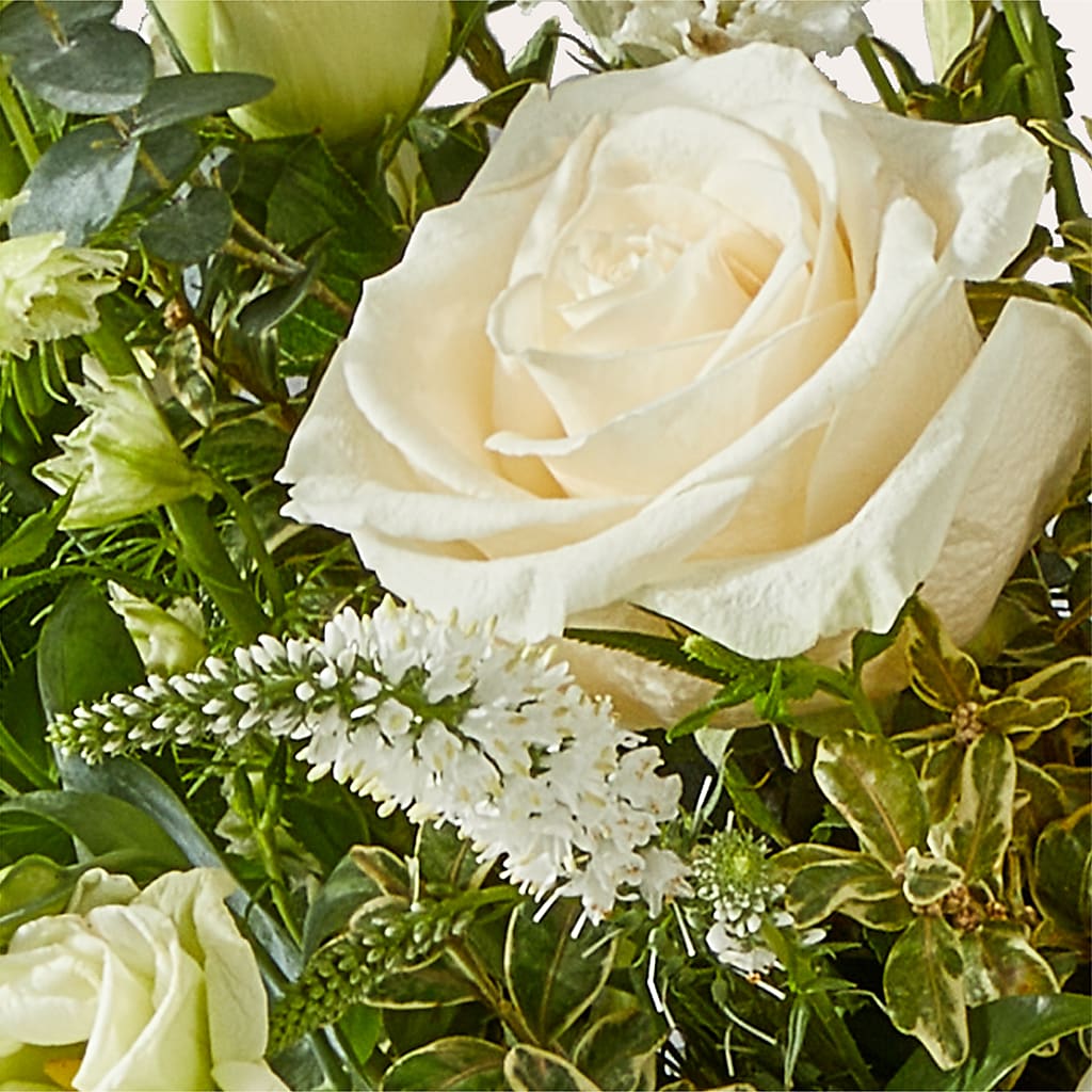 Cashmere Bouquet –  Homestead Flower Company Inc, Homestead FL