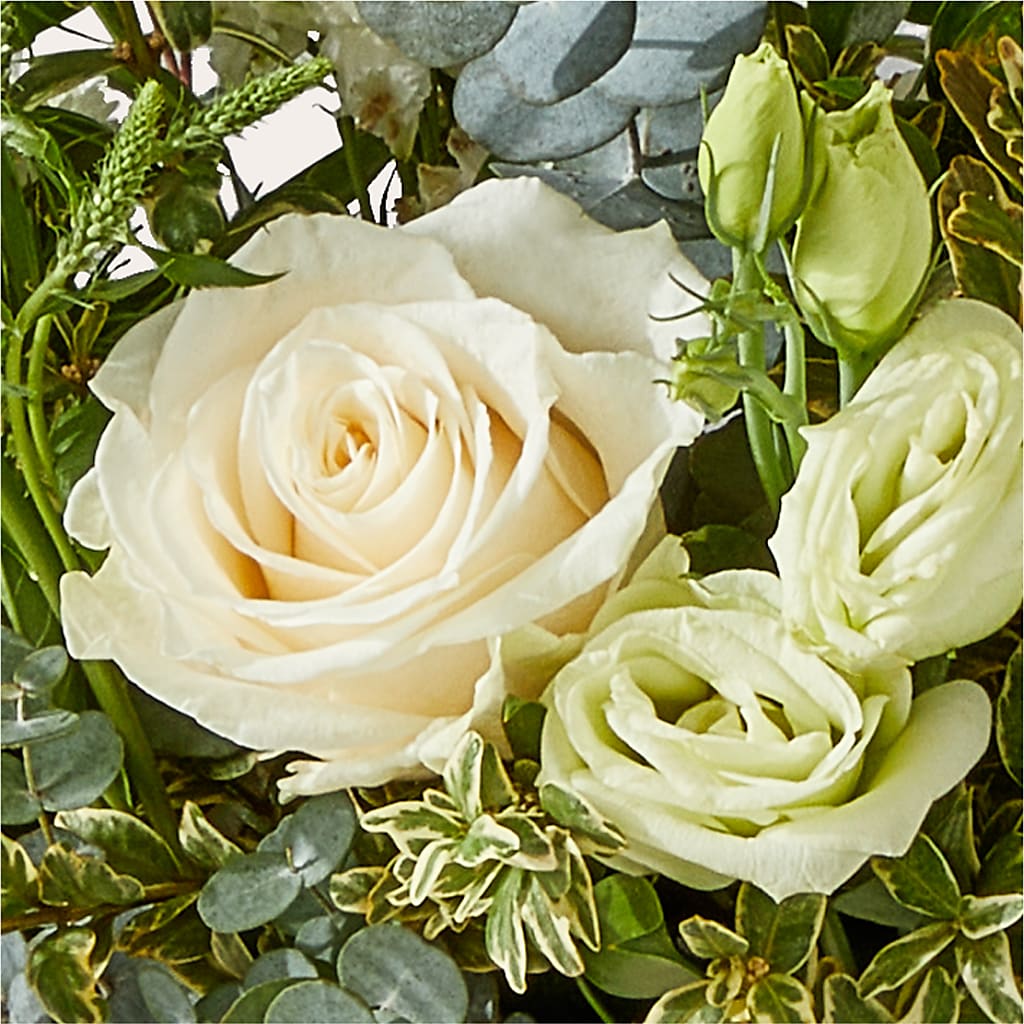 Cashmere Bouquet –  Homestead Flower Company Inc, Homestead FL