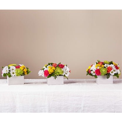 Sorbet Bouquet –  Homestead Flower Company Inc, Homestead FL