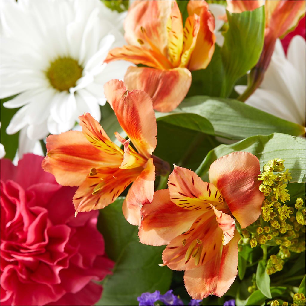Oopsie Daisy Box Bouquet –  Homestead Flower Company Inc, Homestead FL
