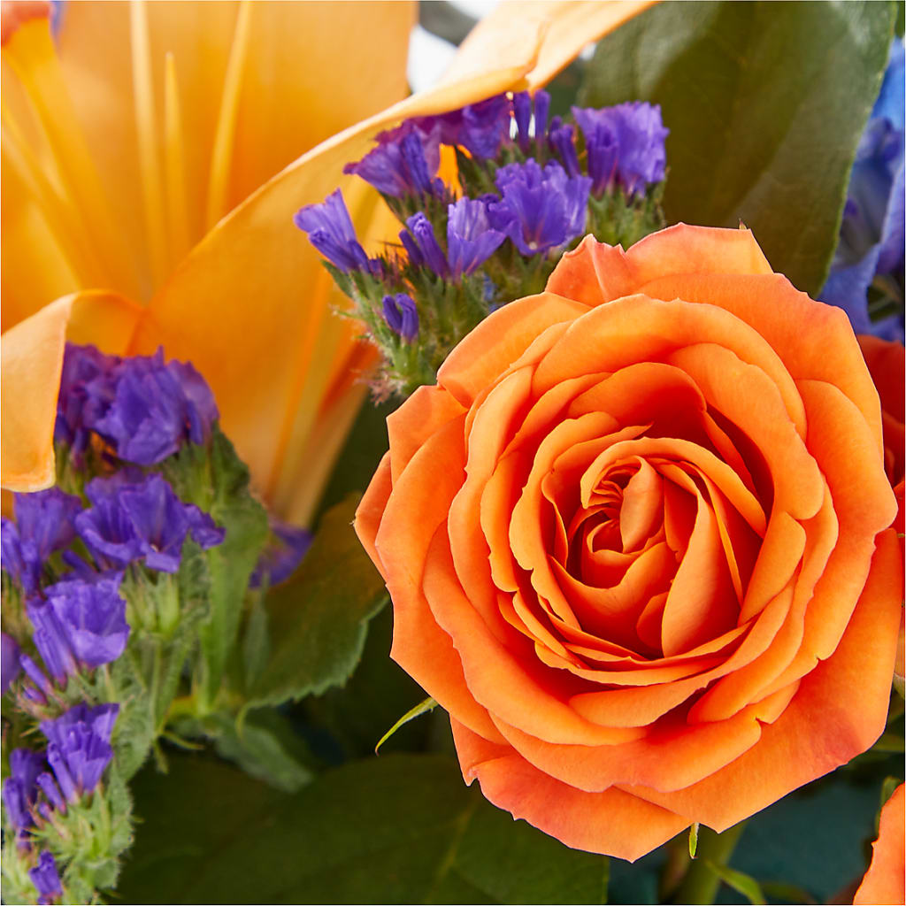 Radiant Citrus Box Bouquet –  Homestead Flower Company Inc, Homestead FL
