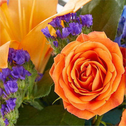 Radiant Citrus Box Bouquet –  Homestead Flower Company Inc, Homestead FL