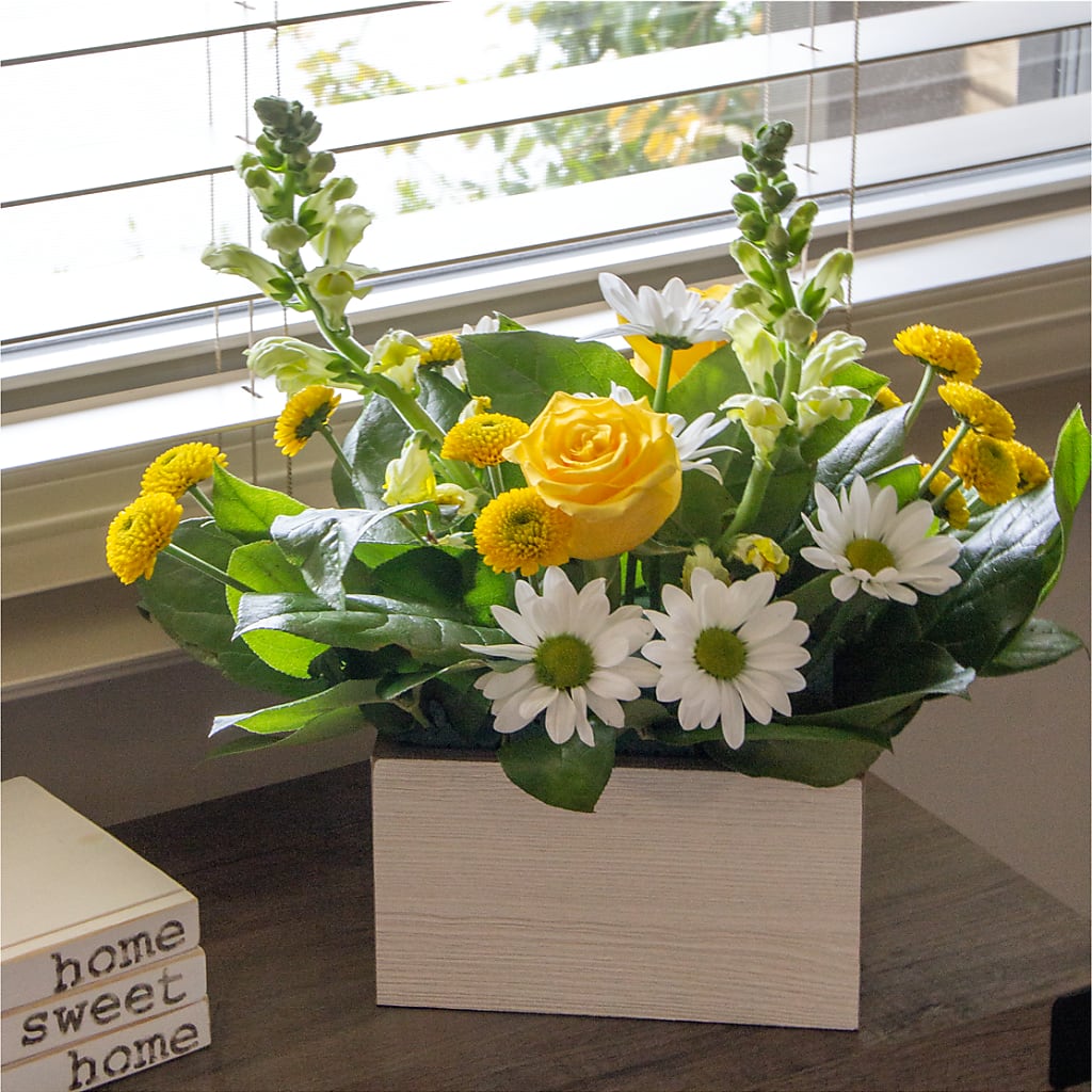 Sun Salutation Box Bouquet –  Homestead Flower Company Inc, Homestead FL