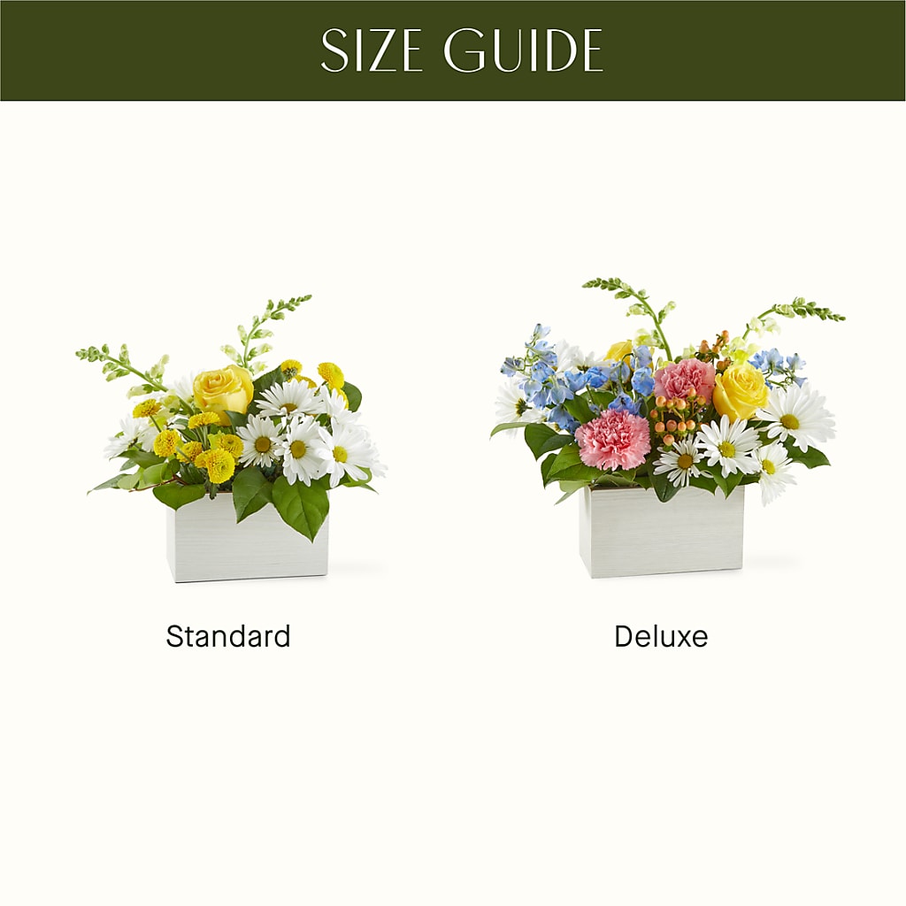 Sun Salutation Box Bouquet –  Homestead Flower Company Inc, Homestead FL