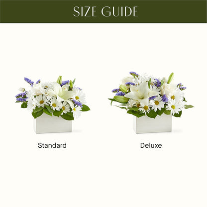 Beyond Blue Box Bouquet –  Homestead Flower Company Inc, Homestead FL