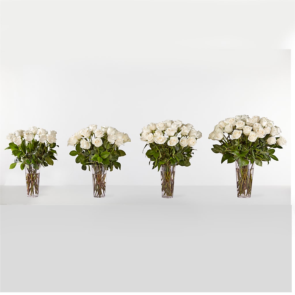 Long Stem White Rose Bouquet –  Homestead Flower Company Inc, Homestead FL