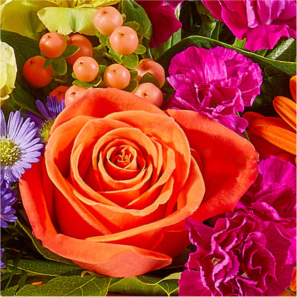Tricks & Treats Pumpkin –  Homestead Flower Company Inc, Homestead FL