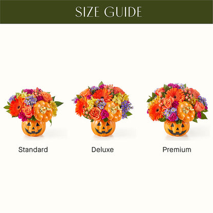 Tricks & Treats Pumpkin –  Homestead Flower Company Inc, Homestead FL
