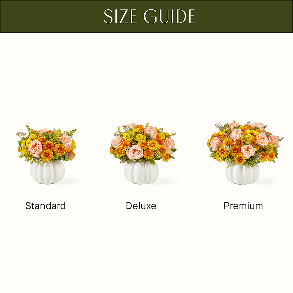 Peachy Pumpkin –  Homestead Flower Company Inc, Homestead FL