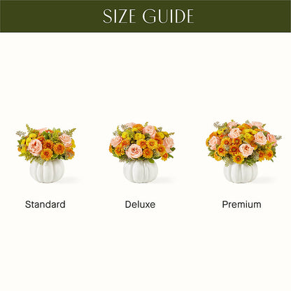 Peachy Pumpkin –  Homestead Flower Company Inc, Homestead FL