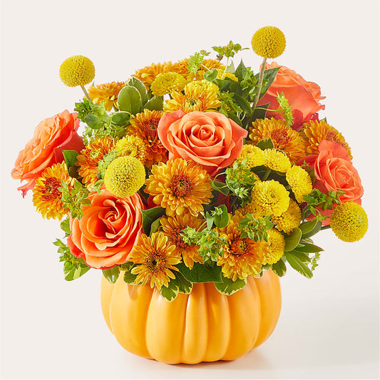 Gourdgeous Pumpkin –  Homestead Flower Company Inc, Homestead FL