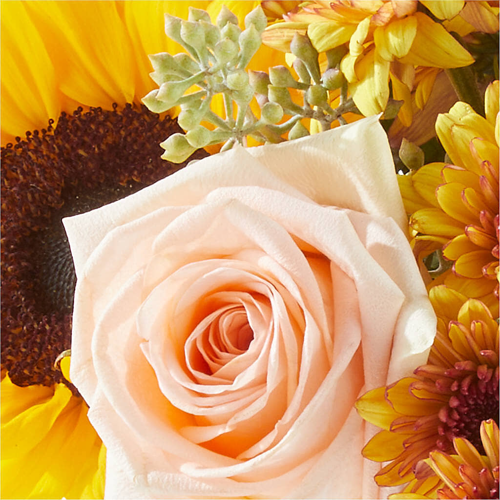Pumpkin to Talk About Bouquet –  Homestead Flower Company Inc, Homestead FL