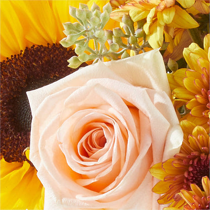 Pumpkin to Talk About Bouquet –  Homestead Flower Company Inc, Homestead FL