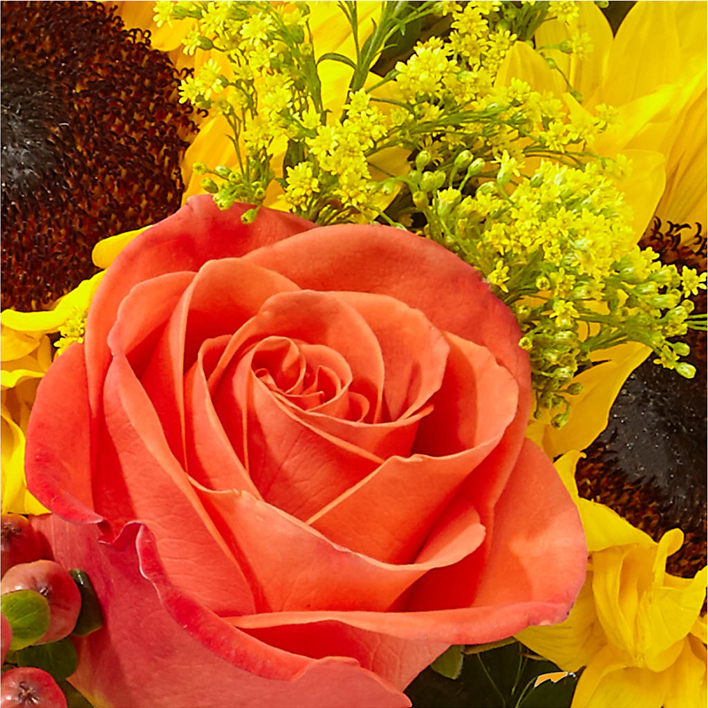 Pick of the Patch Pumpkin Bouquet –  Homestead Flower Company Inc, Homestead FL