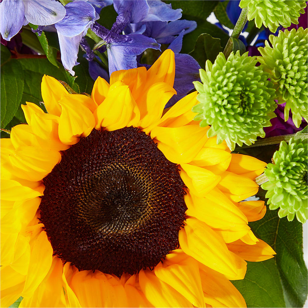Catching Rays Bouquet –  Homestead Flower Company Inc, Homestead FL