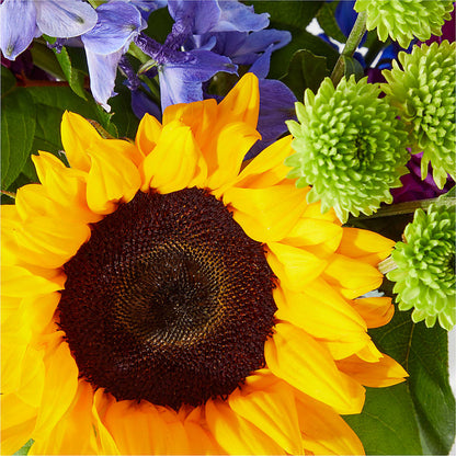 Catching Rays Bouquet –  Homestead Flower Company Inc, Homestead FL