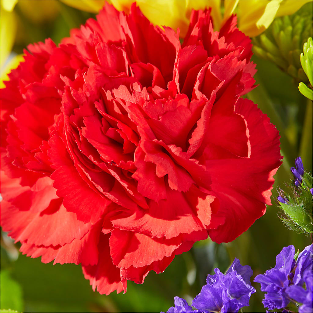 Brighter Days Bouquet –  Homestead Flower Company Inc, Homestead FL