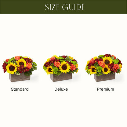 Happy Harvest Garden –  Homestead Flower Company Inc, Homestead FL